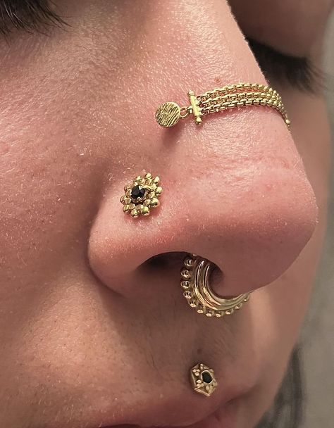 Bvla Jewelry, 3 Lobe Piercings, Unique Nose Rings, Medusa Piercing, Face Piercings, Cool Piercings, Facial Piercings, Body Modification, Gold Face