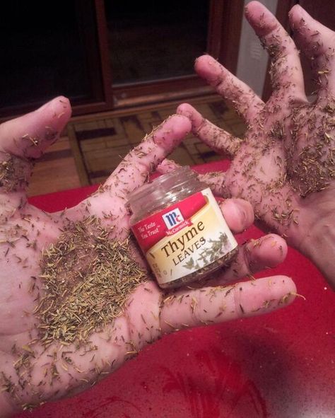 i've got way too much thyme on my hands - Imgur Funniest Snapchats, Love Puns, Meme Page, Bad Puns, Clean Memes, Spongebob Memes, It Goes On, Have A Laugh, E Card