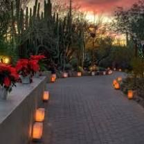 Christmas Traditions in the Southwest – Rhapsody in Books Weblog Southwest Christmas Decor, Southwest Christmas, Cactus Christmas Trees, Mexico Christmas, New Mexico Homes, Gifts To Buy, Desert Botanical Garden, Mexican Christmas, Mexican Heritage