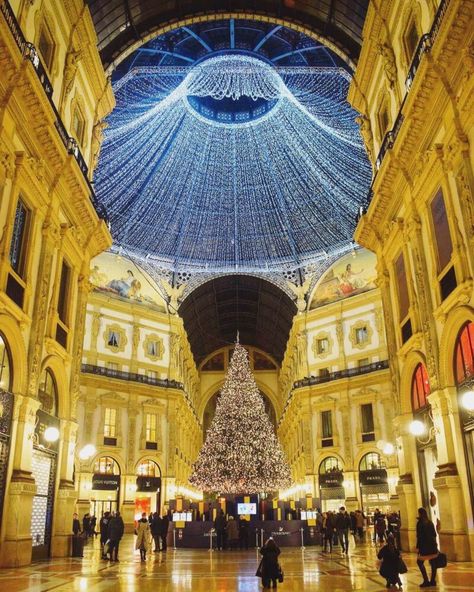 MILAN in Winter 2023 - Should You Visit? Top Tips by a Local! Milan In December, Milan In Winter, Milan Christmas, Milano Winter, Milan Winter, Winter In Italy, Milan Trip, Milan Italy Travel, Switzerland Winter