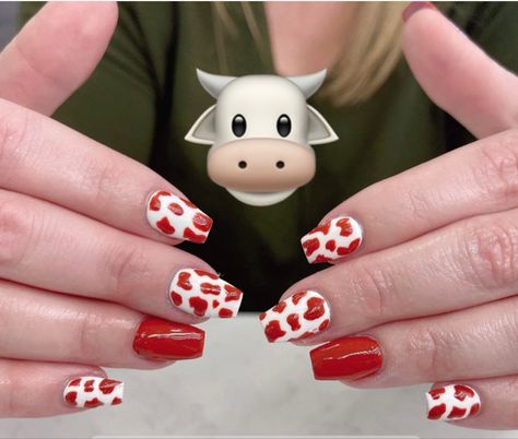 Cow print gel nails Red Cow Print Nails, Cow Print Gel Nails, Cow Pattern Nails, Red Cow Print, Cow Print Nails, Cowboy Nails, White French Tip, Print Nails, Nail Patterns