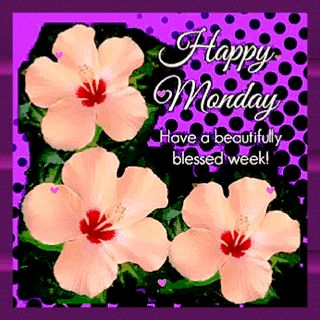 Monday Gif, Happy Thoughts Quotes, Happy Monday Images, Flowers Morning, Morning Gifs, Monday Images, Blessed Week, Monday Blessings, Morning Monday