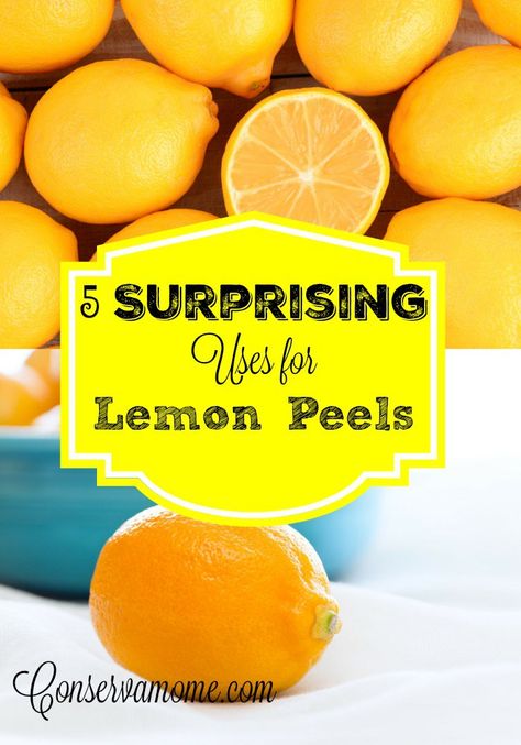 Here are some great uses for Lemon peels you probably didn't know! Making Shampoo, How To Freeze Celery, Lemon Peels, Dried Lemon Peel, Lemon Uses, Healthy Life Hacks, Fruit Peel, Lemon Rind, Living Essentials