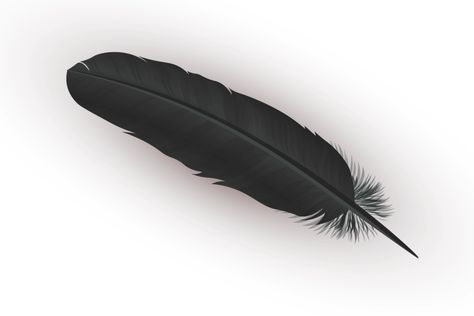 Black Feather Meaning and Symbolism - Color Meanings Feather Coverup Tattoo, Black Feather Tattoo, Black Feather Meaning, Feather Color Meaning, Feather Tattoo Arm, Small Feather Tattoo, Feather Tattoo Meaning, Feather Symbolism, Feather With Birds Tattoo