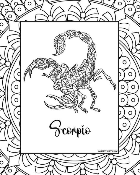 Colouring Sheets For Adults, Sun Signs, Scorpio Zodiac Sign, Coloring Supplies, Printable Coloring Sheets, Zodiac Signs Gemini, Zodiac Signs Aquarius, Zodiac Sign Libra, Zodiac Signs Astrology