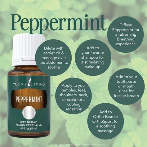 Pass the Mints! There's something about mint scents that open up the breathing and awaken the senses. Young Living offers three mint oils, including Peppermint, Spearmint, and Wintergreen. Peppermint essential oil is perfect for cooling, which can help soothe muscles and provide a burst of energy. Spearmint oil has a milder, sweeter minty aroma that can uplift the mood and aid digestion. Wintergreen, with its fresh and invigorating scent, is often used to soothe muscles and support joint hea... Spearmint Essential Oil Benefits, Uses For Peppermint Essential Oil, Peppermint Essential Oil Young Living, Peppermint Essential Oil Uses, Mint Essential Oil, Mint Oil, Peppermint Essential Oil, Carrier Oils, Young Living