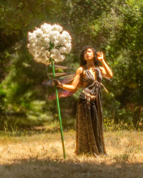 "Led me astray to the faerie soirée" 📷 Photographer ☆ @fayd_art 🧚‍♀️ Model ☆ @m3iday 🪽 wings by ☆ @thewingsua ☆ ☆ ☆ ☆ #fyp #fairyphptography #fairyphotoshoot #fairy #fairycore #fairygarden #fairytales #fairyphotography #fairyphoto #photography #photooftheday #photoshoot #photo #photograph #photofairy Fairy Core Photoshoot, Faerie Photoshoot, Fairy Concept Photoshoot, Fairy Theme Photoshoot, Forest Fairy Photoshoot, Fairy Photoshoot Ideas, Alice Photoshoot, Fairy Poses, Fairy Shoot