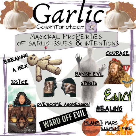 Garlic Witchcraft, Love Witchcraft, Green Witchery, Online Tarot, Tarot Card Reading, Herbal Healing, Herbal Magic, Angel Messages, Witch Art