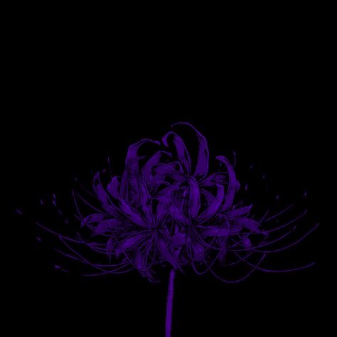 Tokyo Ghoul Purple Spider Lily, Tokyo Ghoul Flower, Red Spider Lily, Spider Lily, Red Spider, Purple Vibe, Phone Stuff, Purple Flower, Tokyo Ghoul