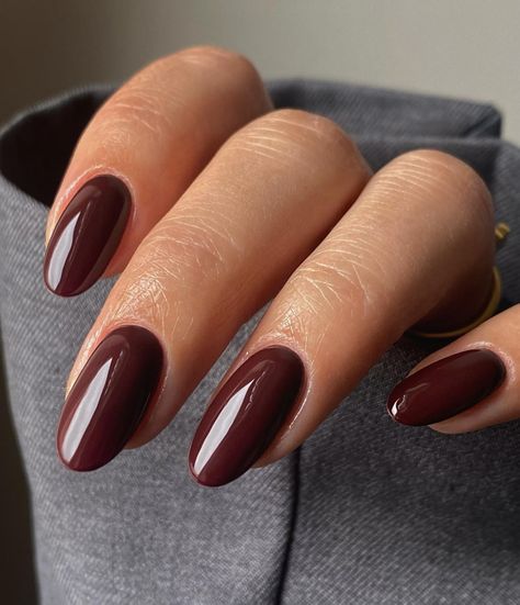 STELLAR GEL™ | CHERRY COLA ~ I’d have to say this has been the fall fav so far! Let us know what your favourite colour is for fall? Comment below ⬇️ 📸 … | Instagram Dark Brown Nails, Nail Ideas For Winter, Old Money Winter, Winter Nail Ideas, Winter Nail Polish, Brown Nail Polish, Color For Nails, 2024 Nails, Wow Nails