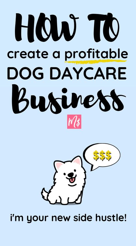 Animals Sanctuary, Dog Daycare Design, Kennel Business, Dog Sitting Business, Dog Boarding Ideas, Dog Daycare Business, Dog Day Care, Dog Boarding Facility, Dog Boarding Kennels