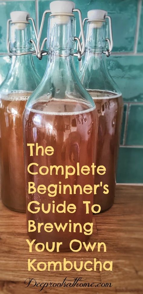 A Complete Beginner's Guide To Brewing Your Own Kombucha. Kombucha bottled up and ready to store in the refrigerator. Continuous Brew Kombucha, Fermented Drinks, Kombucha Benefits, Kombucha Flavors, Kombucha Scoby, How To Brew Kombucha, Homemade Kombucha, Kombucha Recipe, Paleo Foods