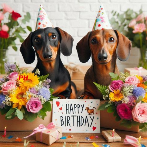 Dog Birthday Wishes, Happy Birthday Dachshund, Animated Happy Birthday Wishes, Dachshund Birthday, Happy Birthday Cat, Happy Birthday Man, Happy Birthday Dog, Birthday Wishes Greetings, Birthday Greetings Friend