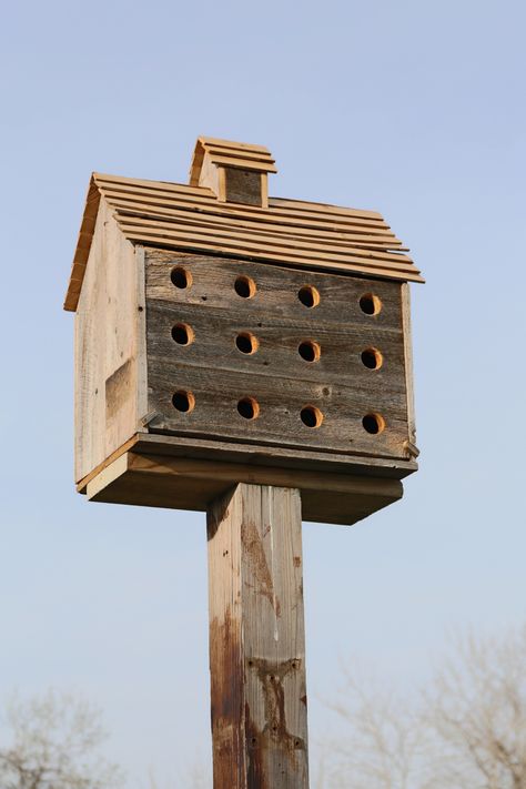 Martin House Birdhouses, Martin House Plans, Purple Martin House Plans, Purple Martin Birdhouse, Martin Bird House, Martin Bird, Cool Bird Houses, Barn Birdhouses, Birdhouses Ideas