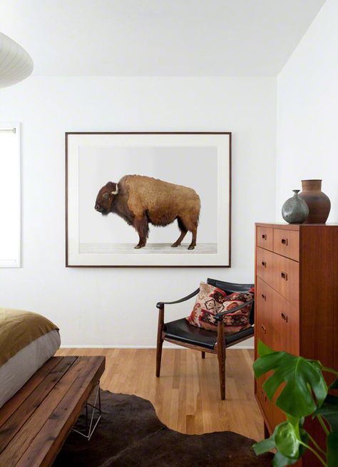 the animal print shop by sharon montrose | american buffalo (styling/photo by morgan satterfield and laure joliet) Buffalo Print, Casa Country, Southwest Decor, Art Trends, 인테리어 디자인, Interior Inspiration, The Wall, Decor Inspiration, Buffalo