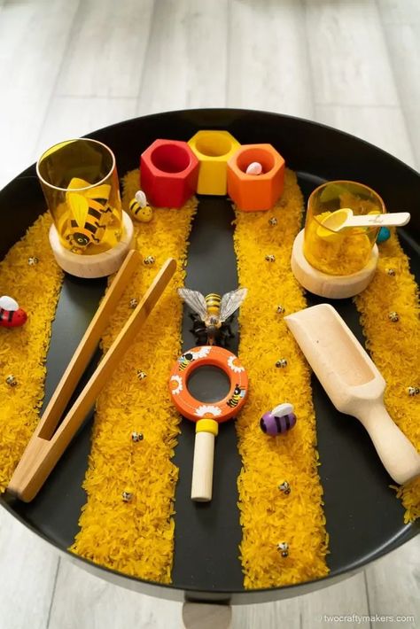 Bee Sensory Bin, Sensory Bin Ideas, Bee Activities, Sensory Table, Coffee Crafts, Sensory Bin, The Bee, Sensory Bins, Sensory Activities