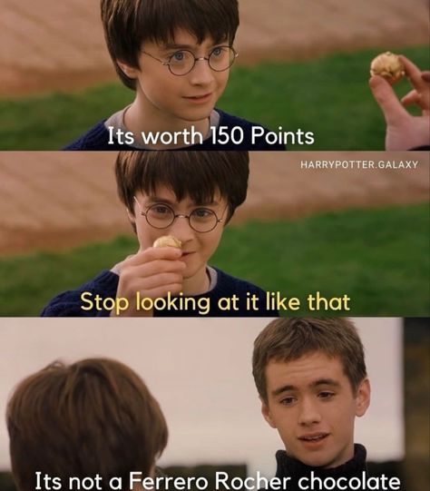 Pottage Parodies, Harry Potter Funny Pictures, Classe Harry Potter, Citate Harry Potter, Glume Harry Potter, Funny Harry Potter Jokes, Potter Head, Harry Potter Memes Hilarious, Harry Potter Feels