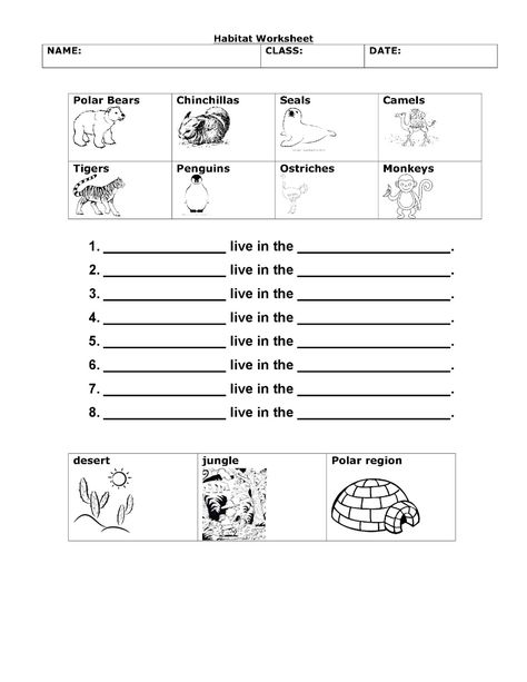 Worksheets For Grade 1 : Animal Habitat Worksheets 2nd Grade, Free Science Worksheets, 2nd Grade Reading Worksheets, Abc Centers, Animal Habitat, Classroom Science, Free Printable Math Worksheets, 1st Grade Science, First Grade Science