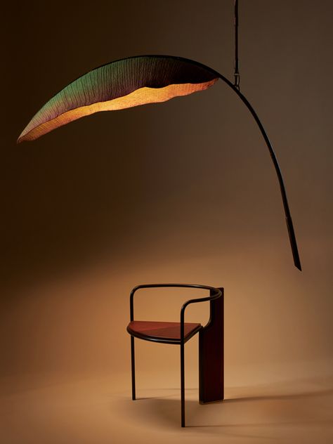 The third addition to the Lure Collection, Nana, from PELLE, combines realism with fantastical abstraction to bring a botanical illustration to life.  Nana’s distinctive banana frond is an enlivened specimen hand-sculpted into a single giant cast-cotton painted leaf. The leaf acts as a natural shade and is illuminated to become a standing or suspended light. Nature Inspired Lighting, Cotton Painting, Modern Hanging Lights, Chalet Design, Artistic Furniture, Illustration Botanique, Suspended Lighting, Design Career, Painted Leaves