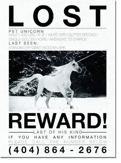 LOST_UNICORN_POSTER Lost Unicorn, Unicorn Poster, Potter Quotes, Golden Horn, Last Unicorn, The Last Unicorn, Last Stand, Joy Division, Losing A Pet