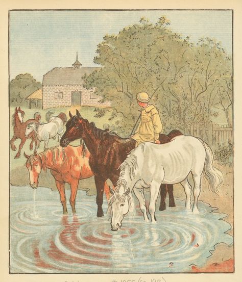 Farmer Boy, Horse Posters, Horse Illustration, Horse Drawings, Vintage Drawing, Equine Art, Art Et Illustration, Vintage Horse, Western Art