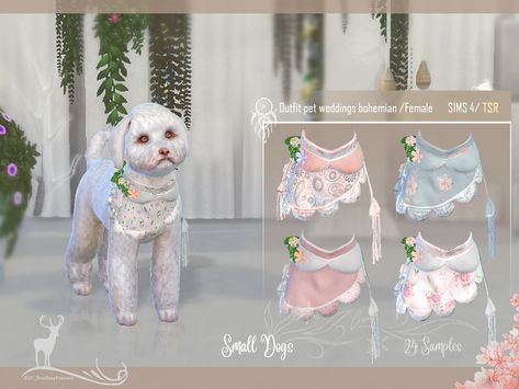 DanSimsFantasy's Small Dog Suit / Bohemian Wedding/ Female Sims 4 Cc Dog Clothes, Sims 4 Cc Dog Stuff, Sims 4 Cc Dogs, Dog Cc Sims 4, Sims4 Pet Cc, Ts4 Pet Cc, Sims 4 Cc Pet Stuff, Sims 4 Dog Cc, Sims 4 Pet Cc