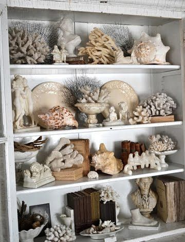 sea-life-collection-cabinet | www.isuwannee.com | Jamie Meares | Flickr Beach House Interior Boho, Nautical Office, Shelf Designs, Seashell Display, Hantverk Diy, Shell Display, Art Coquillage, Beachy Room, Seaside Living