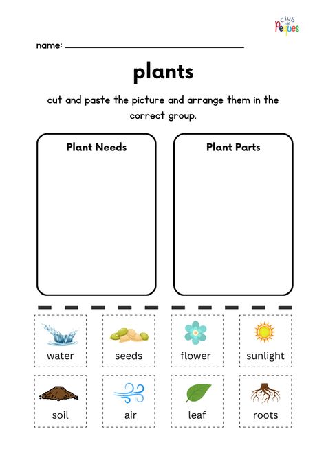 Plants Habitat Worksheet, Plants Worksheets For Grade 1, Plants Worksheets For Kids, Plant Needs Worksheet, Feelings Activities Preschool, Life Cycle Worksheet, Plant Life Cycle Worksheet, Plant Biology, Plant Lessons