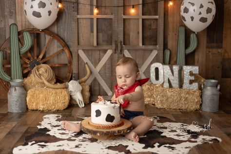 Western cowboy first year session First Birthday Western Theme Cake Smash, Cowboy Theme Cake Smash, Western Cake Smash Photography, Cow Smash Cake Photoshoot, Cowboy Themed Smash Cakes, Smash Cake Cowboy, Bull Smash Cake, First Rodeo Birthday Smash Cake, 1st Rodeo Cake Smash