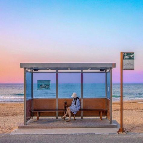 Bus Stop Design, Bus Shelters, City Sketch, Japan Street, South Korea Travel, Jeju Island, Cozy Aesthetic, Korea Travel, Beautiful Sights