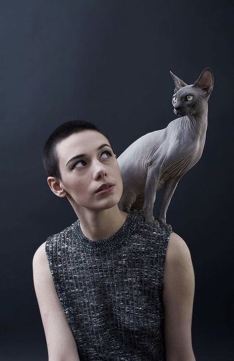 Pose Reference Photo With Cat, Cat And Human Drawing, Poses With Cats, Cat Poses Reference, Human With Animal, Poses With Cat, Pose With Cat, Cat Pose Reference, Cat On Shoulder