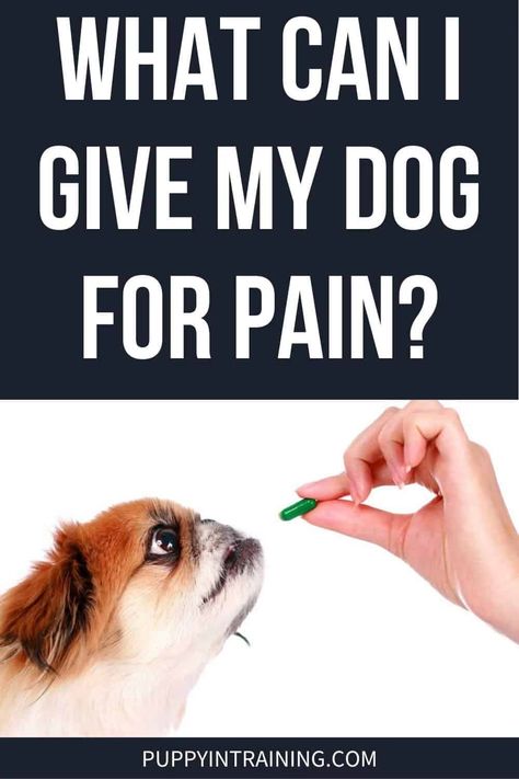 What Can I Give My Dog For Pain, Dog Sprained Leg Remedy, Tylenol For Dogs, Sore Hips, Meds For Dogs, Natural Pain Relievers, Pain Relief Remedies, Dog Remedies, Medication For Dogs