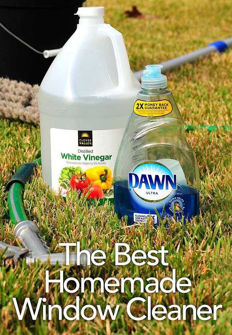 best homemade window cleaner Homemade Window Cleaner, Clean Outdoor Windows, Best Window Cleaner, Window Cleaning Tips, Window Cleaner Homemade, Washing Windows, Homemade Cleaning Products, Window Cleaning, Household Cleaning Tips