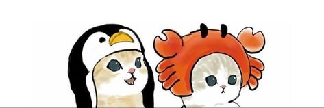 Minimalist Twt Header, Cats Header Twitter, Matching Headers Twitter, Cat Twitter Banner, Cute Cat Header, Cat Header Twitter, Cat Headers, Twitter Header White, Minimalist Header