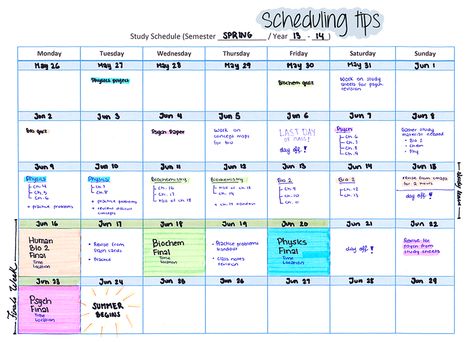 How To Study Tutorial from MindofaMedStudent.tumblr.com   Source: http://mindofamedstudent.tumblr.com/post/88079025178/tutorial-how-to-make-a-study-schedule-make-a Study Schedule 1 Week Before Exam, 1 Month Study Plan For Exam, Weekend Study Schedule For Exam, Extreme Study Schedule, Schedule During Exams, Study Timetable Template, Study Plan Template, Study Schedule Template, Nclex Study Plan