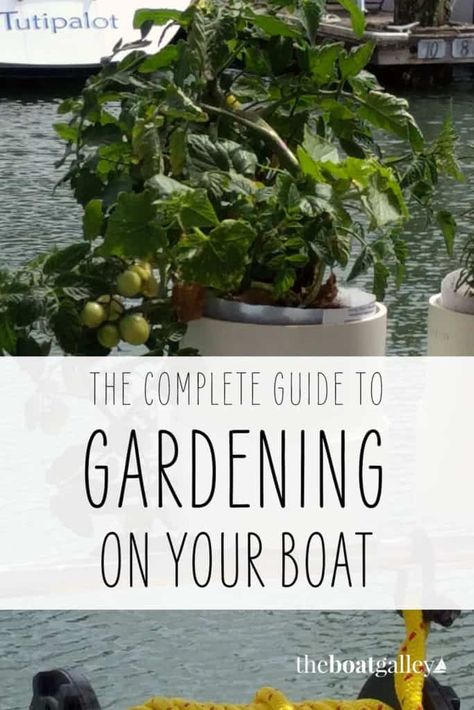 DIY Boat Garden - The Boat Galley Boat Living Hacks, Living In A Boat, Living On A Boat Hacks, Diy House Boat, Growing Plants On A Boat, Sailboat Organization, Sailboat Living Hacks, Living On Sailboat, Live Aboard Sailboat