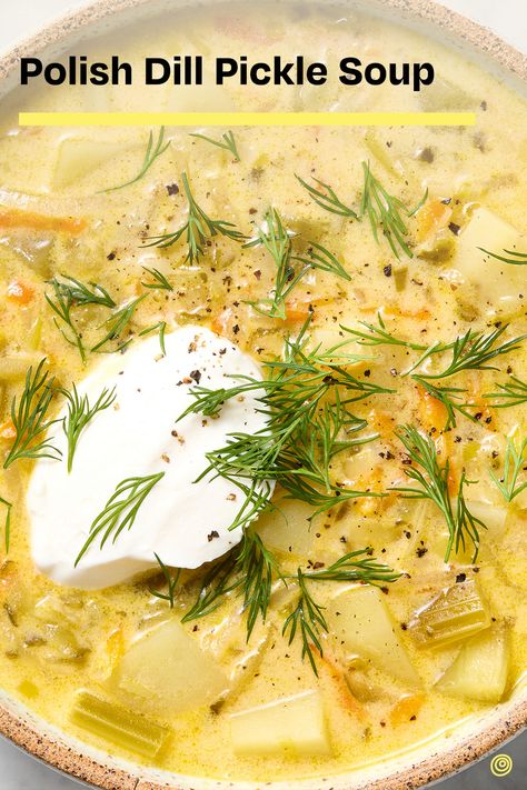 Make Polish pickle soup with grated pickles, plenty of hearty vegetables, and rich, tangy sour cream. Polish Pickle Soup Recipe, Polish Dill Pickle Soup Recipe, Dill Pickle Soup, Pickle Soup, Salmon Potato, Flavorful Vegetables, Lunch Appetizers, Rice Ingredients, Bowl Of Soup