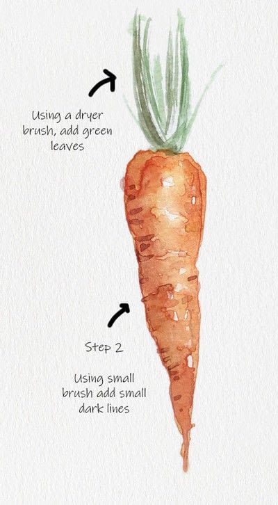 Easy Watercolor Vegetables, Watercolour Vegetables Simple, How To Mix Watercolors, Watercolour Carrots, Food Art Painting Watercolour, Watercolor Simple Art, How To Watercolor Paint, Watercolor Fruit Paintings, Fruits Watercolor Painting