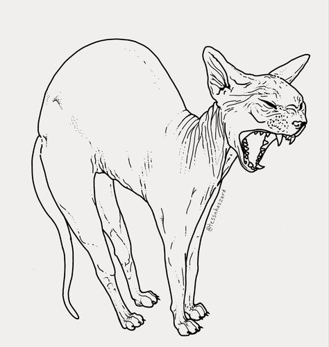 Sphinx Tattoo Cat, Cat Hissing Tattoo, Cat Linework Tattoo, Sphinx Cat Drawing, Hairless Cat Drawing, Hairless Cat Tattoo, Sphynx Cat Drawing, Sphinx Cat Tattoo, Line Work Drawing