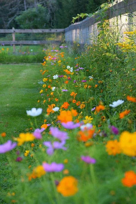 Circle Garden, Grow Wildflowers, American Meadows, Wild Flower Meadow, Meadow Garden, Backyard Flowers, Cut Flower Garden, Have Inspiration, Wallpaper Nature