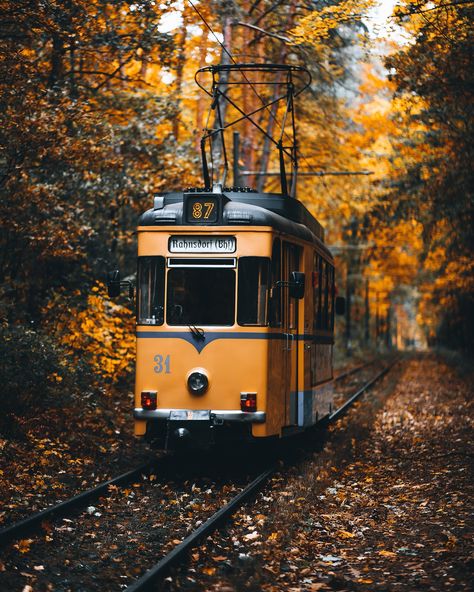 Autumn is coming 🍂 📍 Berlin Rahnsdorf #autumn #moodygrams #rahnsdorf #berlin Autumn Is Coming, Luxembourg, Austria, Switzerland, Berlin, Germany, Quick Saves