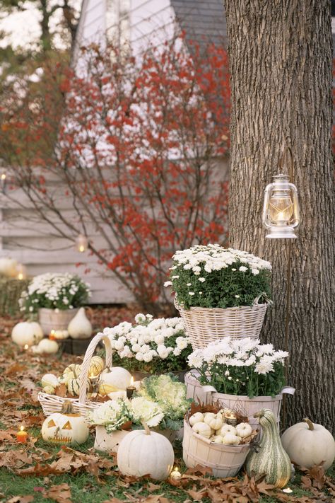 Pretty in White White Pumpkin Decor, Pumpkins And Gourds, Halloween Diy Outdoor, Halloween Decorations Diy Outdoor, Autumn Decorating, Fall Outdoor, Fall Porch, White Pumpkins, Fall Diy