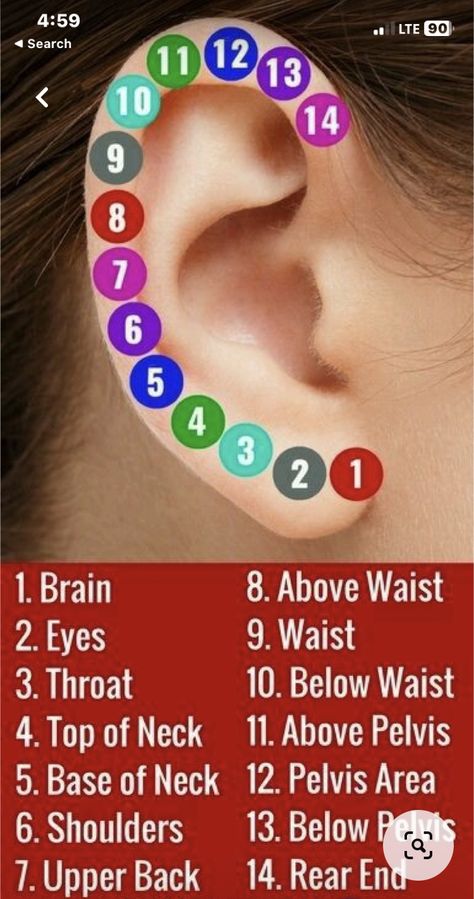 Healing Reflexology, Ear Reflexology, Pressure Point Therapy, Acupressure Therapy, Reflexology Chart, Reflexology Massage, Home Health Remedies, Acupressure Points, Health Knowledge