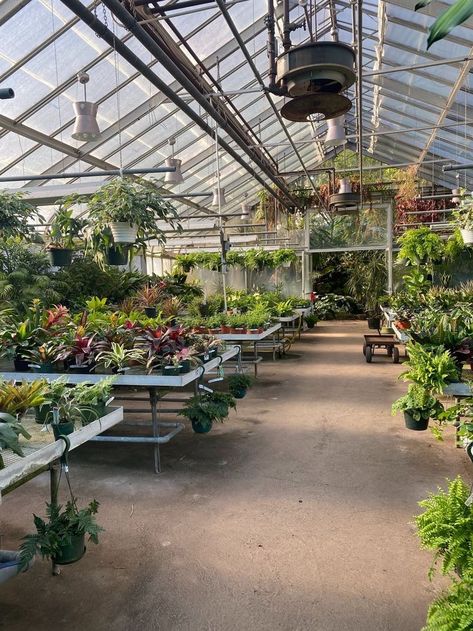 Horticulture Student Aesthetic, Horticulture Aesthetic, Greenhouse Aesthetic, Green House Aesthetic, Greenhouse Vegetables, Greenhouse Plants, Backyard Plan, Strawberry Fields, Greenhouse Gardening