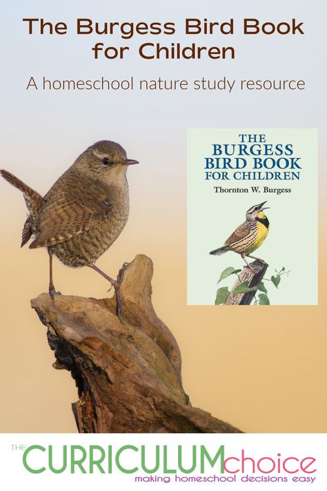 Birds Of Prey Unit Study, Birds Science Activities, Burgess Bird Book Printables, Bird Unit Study Free Printable, Bird Study Homeschool, Story Format, Homeschool Nature, Burgess Bird Book, Composer Study