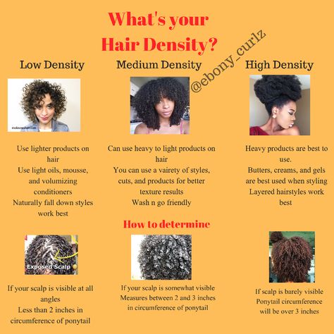 Low Density 4c Hair, Low Prosperity Hair Tips, How To Find Your Hair Type, Low Prosperity Hair Vs High, How To Test Hair Porosity, Low Density Curly Hair, Low Density Hair, How To Determine Hair Porosity, High Density Hair