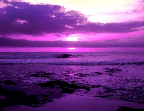 purple ocean life  | Email This BlogThis! Share to Twitter Share to Facebook Purple World, Purple Stuff, New Retro Wave, Purple Sunset, Everything Purple, Purple Things, I Love Purple, Sunset Sea, Purple Reign