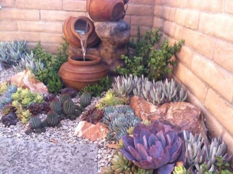 Add some succulents and cactus to the back corner and change the edging. Succulent Rock Garden, Succulent Landscape, Kolam Koi, Yard Plants, Pebble Garden, Succulent Landscape Design, Succulent Garden Design, Succulent Landscaping, نباتات منزلية