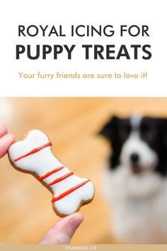 Dog Biscuit Icing Recipe, Dog Safe Royal Icing, How To Make Icing For Dog Treats, How To Make Dog Icing, Homemade Dog Cookies With Icing, Dog Safe Cookie Icing, Icing For Dog Cookies, Dog Friendly Royal Icing Recipe, Dog Treats Decorated