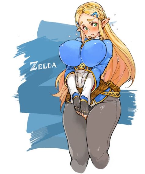 Princess Zelda Art, Sif Dark Souls, Botw Zelda, Nintendo Princess, Nintendo Fan Art, Zelda Botw, Pokemon People, Nintendo Art, Mario Art